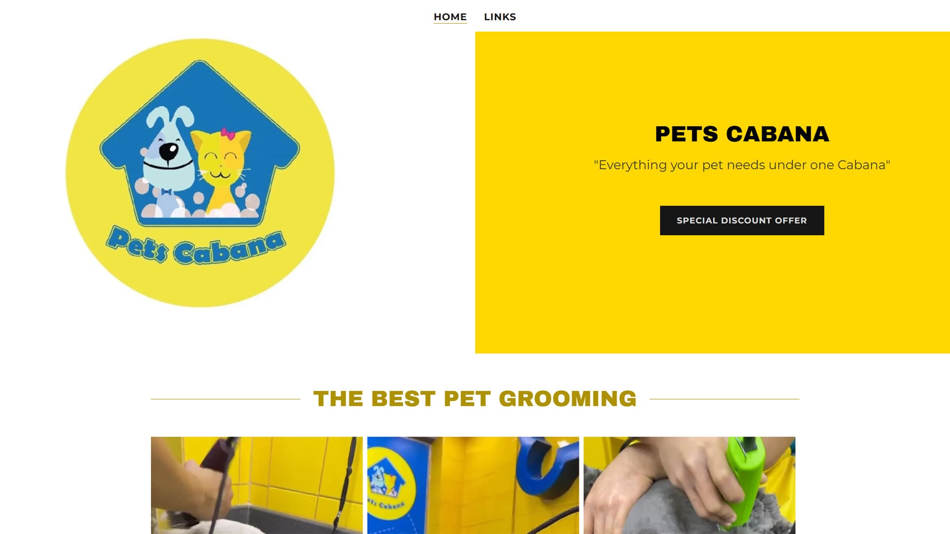Before: outdated pet grooming website